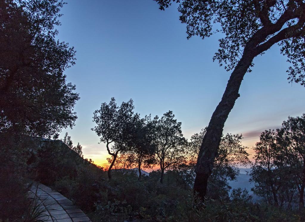 Finca La Fronda Алахар Экстерьер фото